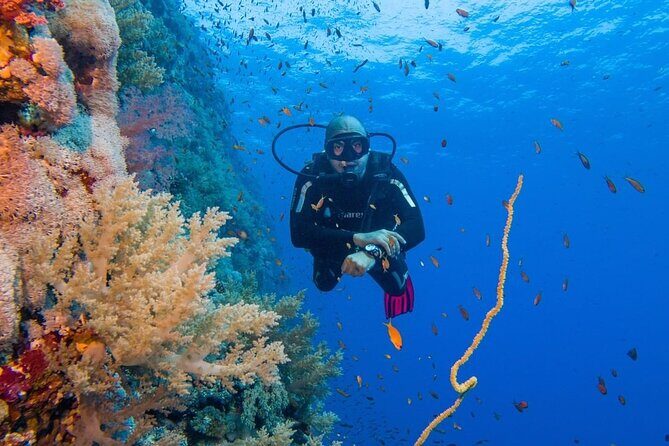 Explore Hurghada Two Thrilling Boat Dives for Certified Divers - Key Points