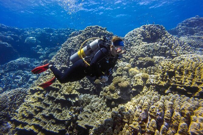 Explore Hurghada Two Thrilling Boat Dives for Certified Divers - Introduction: Why This Tour Stands Out
