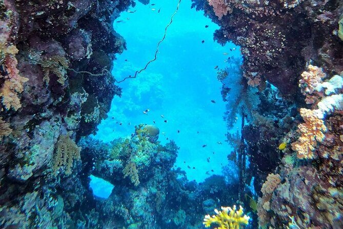 Explore Hurghada Two Thrilling Boat Dives for Certified Divers - The Value for the Price