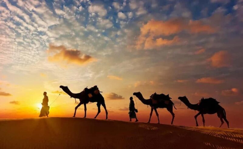 Explore Jaisalmer, Jodhpur & Udaipur in 7 Days - Key Points