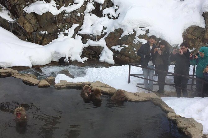 Explore Jigokudani Snow Monkey Park with a Local Guide - Frequently Asked Questions