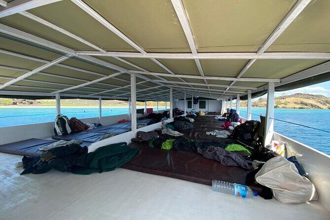 Explore Komodo and Swim with Whale Sharks - Practical Considerations
