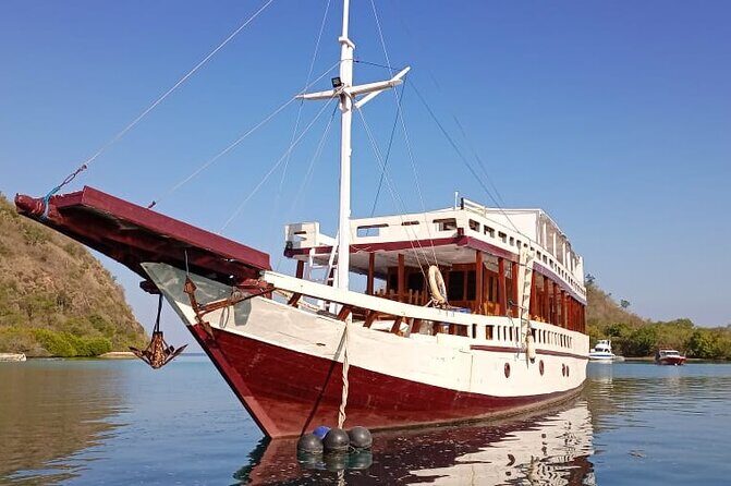 Explore Komodo and Swim with Whale Sharks - Who Will Love This Tour?