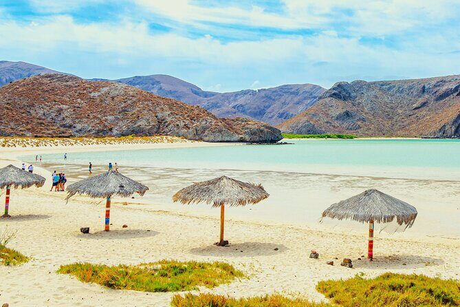 Explore La Paz: City Tour, Balandra Bay and Todos Santos - What to Expect from This La Paz and Baja California Sur Tour