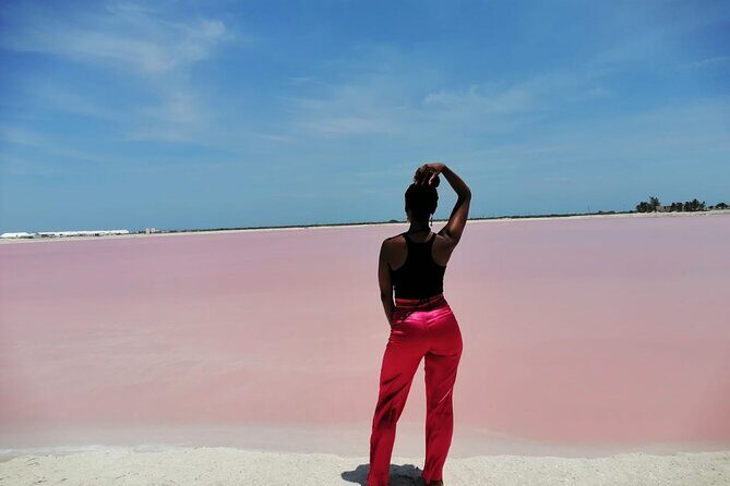 Explore Las Coloradas & Rio Lagartos from Riviera Maya - Introduction to the Experience