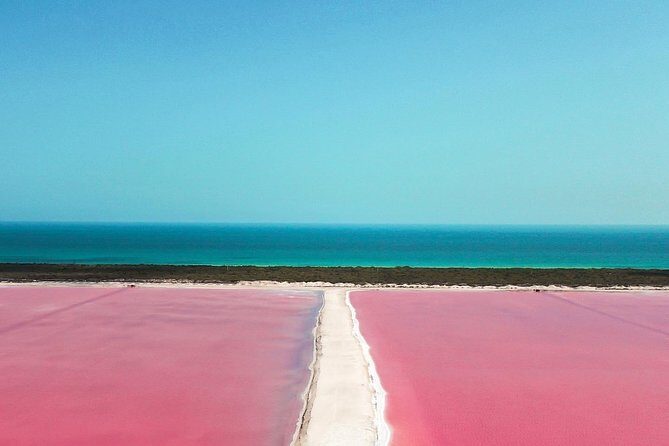 Explore Las Coloradas & Rio Lagartos from Riviera Maya - Authentic Experiences & Real-World Feedback