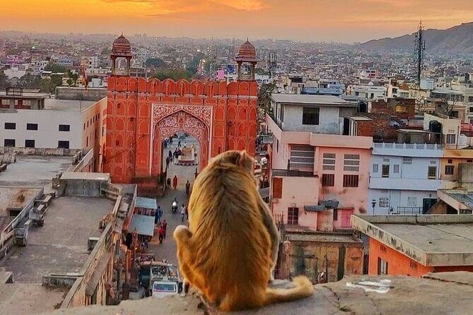 Explore Local Experience Jaipur Sightseeing Tour by Car + Guide - An In-Depth Look at the Jaipur Sightseeing Tour