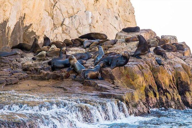 Explore Los Cabos City Tour, Glass-Bottom Boat Ride, Lunch and Shopping! - Authentic Experiences and Traveler Perspectives