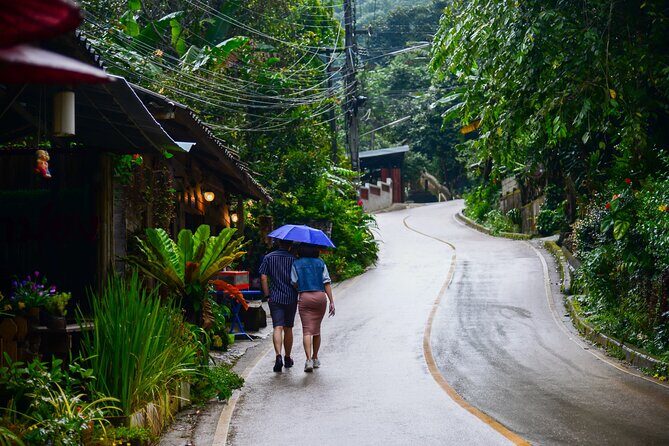 Explore Mae Kampong Village from Chiang Mai City - Who Will Love This Tour?