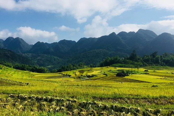 Explore Mai Chau - Pu Luong - Ninh Binh 4 Days / 3 Nights - Key Points