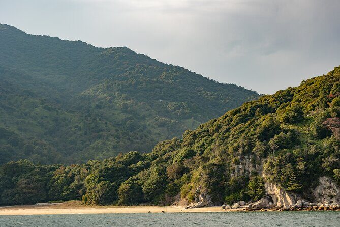 Explore Miyajima Sail from Miyahama Onsen - Why This Tour Adds Value