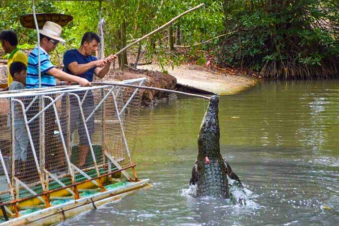 Explore Monkey Islands and Gio Mangrove Forest From Ho Chi Minh - Key Points