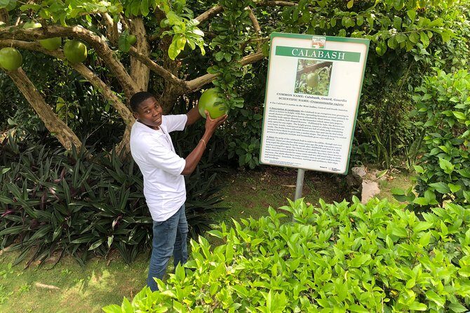Explore Montego Bay Jamaica Private Tour to Green Gratto Cave - Who Will Love This Tour?