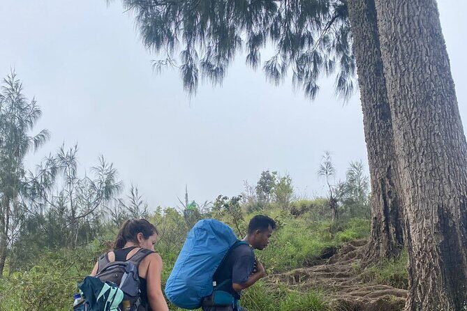 Explore Mount Rinjani To Summit, Lake & Hot Spring (3D 2N) - Final Thoughts: Who Should Consider This Trek?