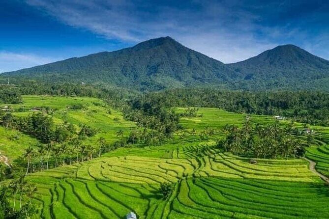 Explore Munduk Customized 8 Hour Day Tour in North Bali - What Travelers Say: Authenticity & Expertise