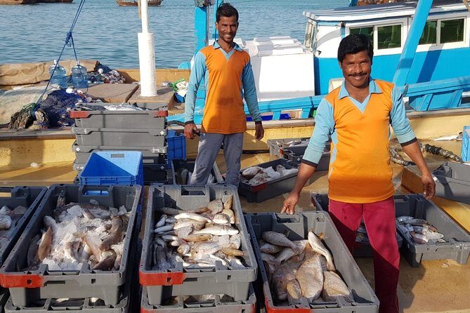 Explore North of Qatar: Visit Zubarah Fort and Fishing Town of Al Khor - The Sum Up