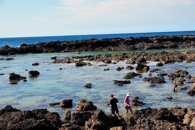 Explore North Shore Oahu by E-Bike & Snorkel (Self-Guided + Map) - Final Thoughts: Who Will Love This Tour?