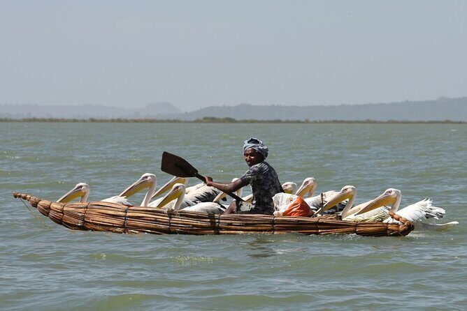 Explore Northern Ethiopia in 6 days 5 nights by flight - Key Points
