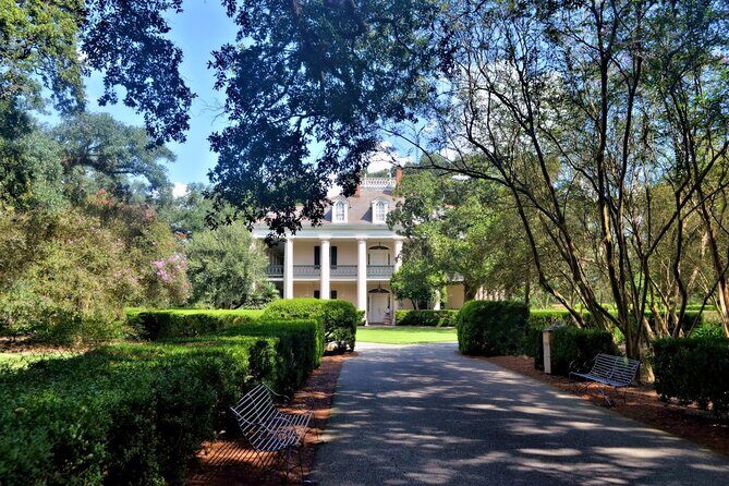 Explore Oak Alley Plantation Guided Tour with Transportation - The Experience: What You Can Expect