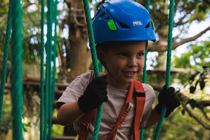 Explore Ourimbah State Forest Junior Tree Ropes Course - An In-Depth Look at the Ourimbah State Forest Junior Tree Ropes Course