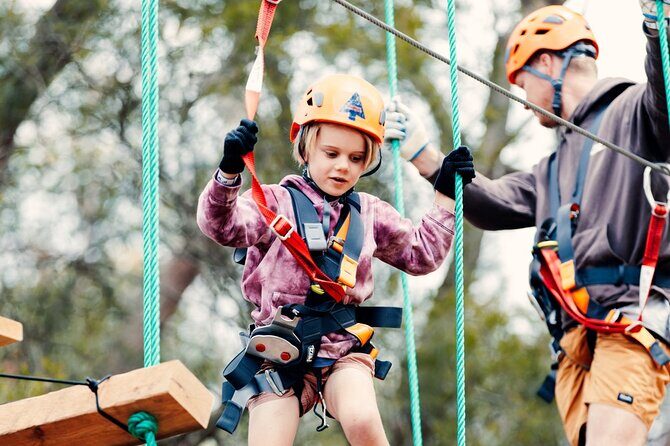 Explore Ourimbah State Forest Junior Tree Ropes Course - FAQ