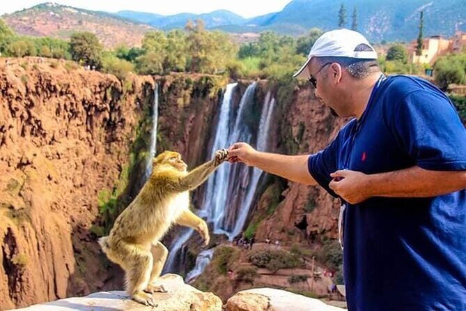 Explore Ouzoud waterfalls Marrakech Guided Hike & Boat Experience - A Complete Breakdown of the Tour