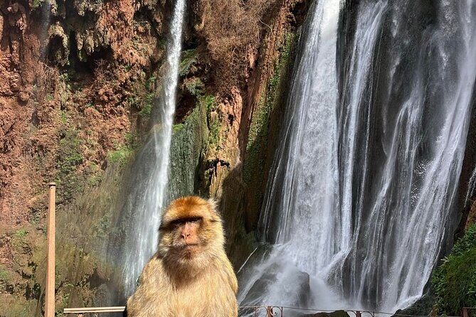 Explore Ouzoud waterfalls Marrakech Guided Hike & Boat Experience - The Sum Up
