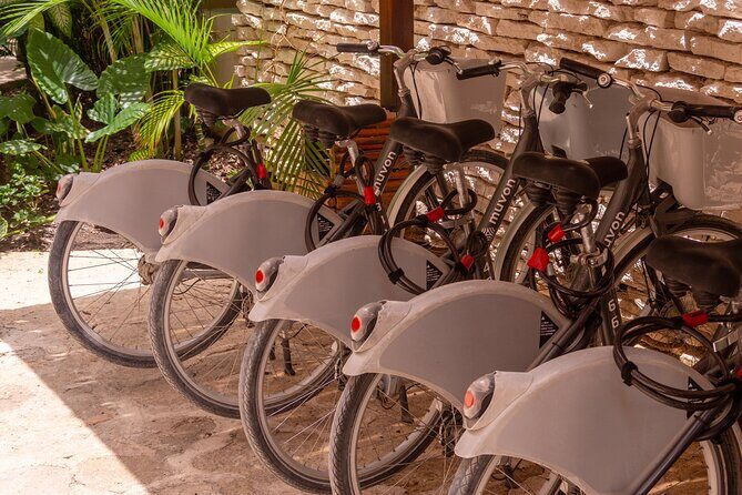 Explore Paradise on Wheels: Bike Rentals in Playa del Carmen - Deep Dive: Is It Worth the Price?