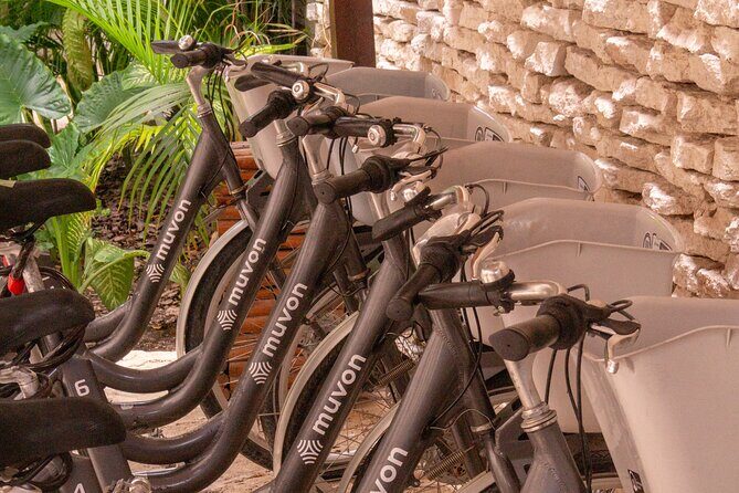 Explore Paradise on Wheels: Bike Rentals in Playa del Carmen - The Bottom Line