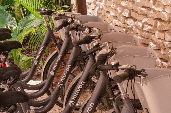 Explore Paradise on Wheels: Bike Rentals in Playa del Carmen - FAQs
