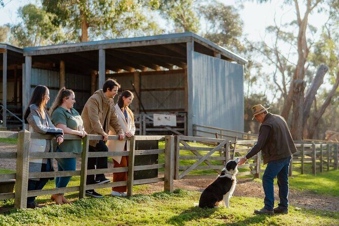Explore Phillip Island from Melbourne with Penguin Parade - The Itinerary: What to Expect