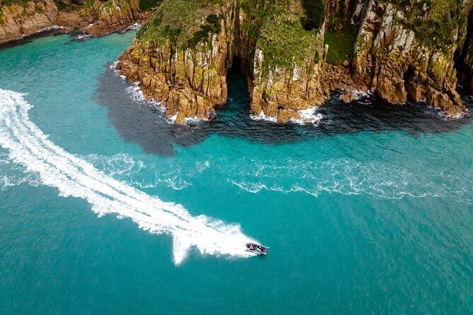 Explore Phillip Island from Melbourne with Penguin Parade - Overall Value and Who Should Consider This Tour