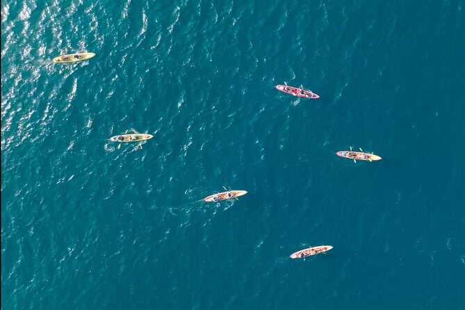 Explore Point Reyes by Sea Kayak - Key Points