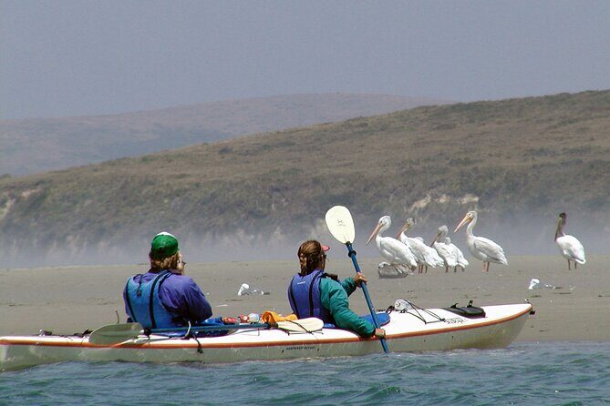 Explore Point Reyes by Sea Kayak - Frequently Asked Questions