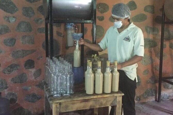 Explore Puerto Vallarta and Tequila Tasting - Photo Stop at Los Arcos de Mismaloya