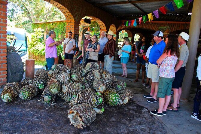 Explore Puerto Vallarta and Tequila Tasting - Return to Your Hotel