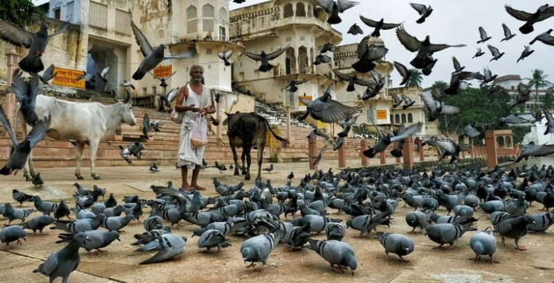 Explore Pushkar in a Day from Jaipur, Private Tour - Why This Tour Is Worth It