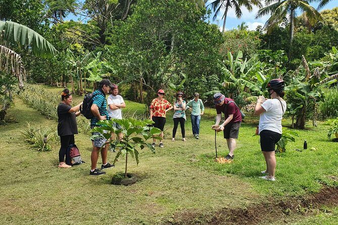 'Explore' Rarotonga Guided Bike Tour with Lunch and Swim - Discovering Rarotonga by Bike: A Genuine Adventure