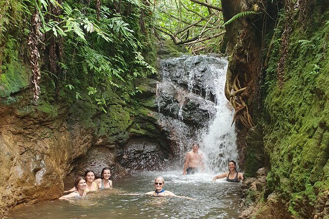 'Explore' Rarotonga Guided Bike Tour with Lunch and Swim - The Sum Up: Who Is This Tour Best For?