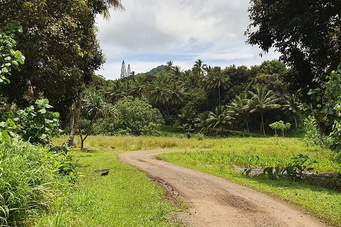 'Explore' Rarotonga Guided Bike Tour with Lunch and Swim - FAQ: Your Practical Questions Answered