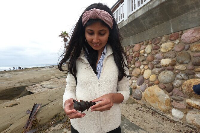 Explore San Diego Tide Pools with a Marine Biologist - Final Thoughts on Value and Experience