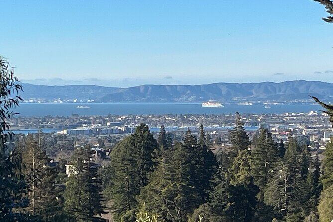 Explore San Francisco Napa Sacramento Oakland Black Exp Car Tour - Who Will Appreciate This Tour?