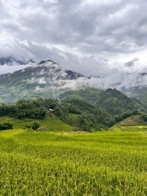 Explore Sapa by TrekkingAdventures, Mountain,Rice fields - Why This Tour Is Worth It