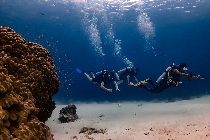 Explore Scuba Diving at Racha Yai Island from Phuket - What to Expect on the Racha Yai Island Scuba Tour