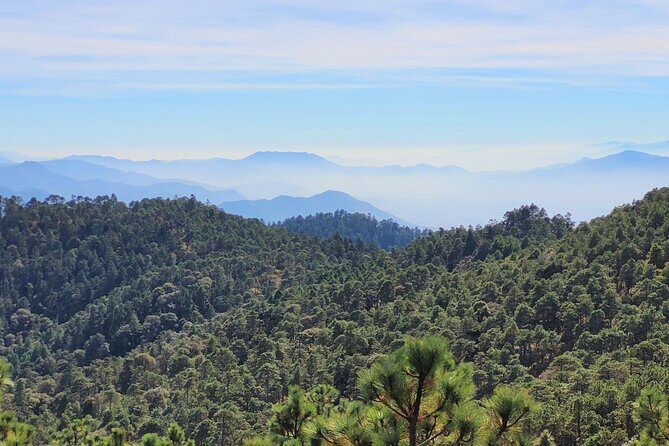 Explore Sierra Norte, Half-Day Hiking Adventure - Value and Final Thoughts