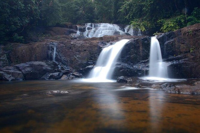 Explore Singharaja Forest Reserve (mirissa/weligama & Galle) - What the Reviews Say