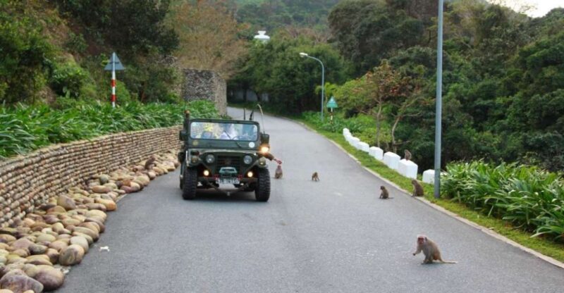 Explore Son Tra Peninsula by US Army Jeep - Key Points