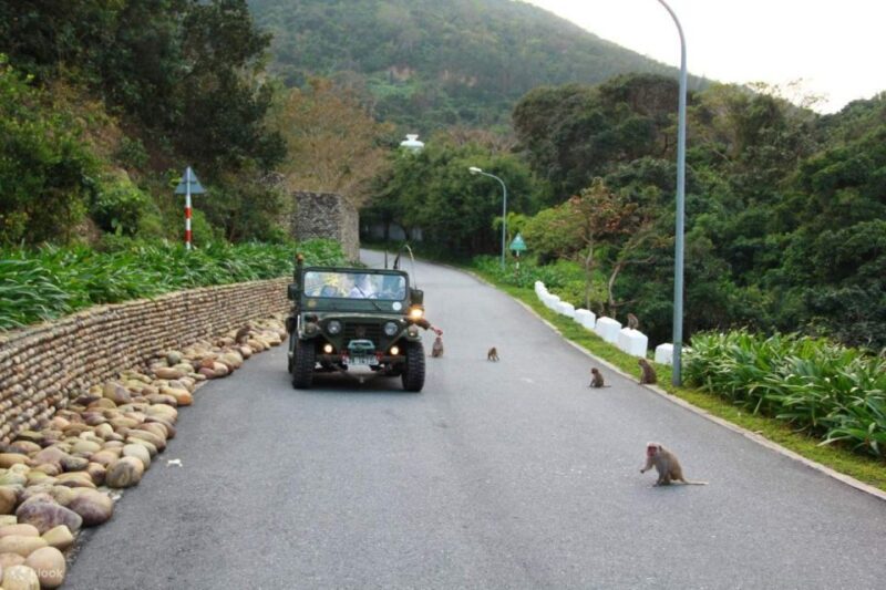 Explore Son Tra Peninsula by US Army Jeep - In-Depth Review of the Son Tra Jeep Tour