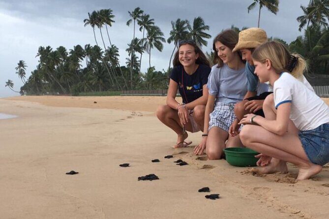 Explore Srilanka in 9 Nights 10 Days - Who Is This Tour Best For?