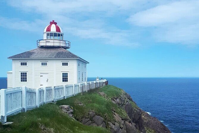 Explore St. John's Scenic Bus Tour to Cape Spear and Quidi Vidi - Authentic Feedback from Travelers